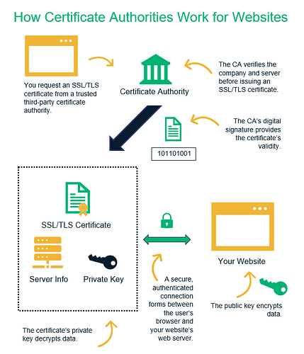 How Certificate Authorities Work for Websites