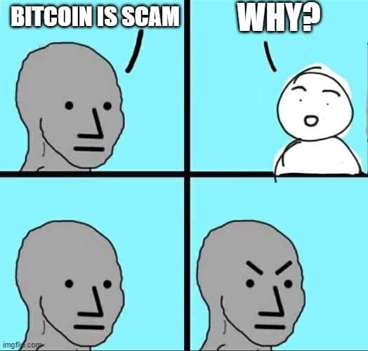 crypto meme for academy